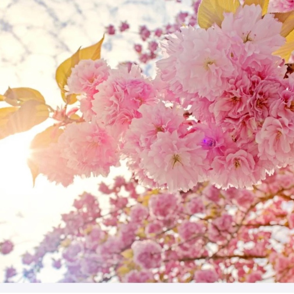 Meet your Posher, Maricela